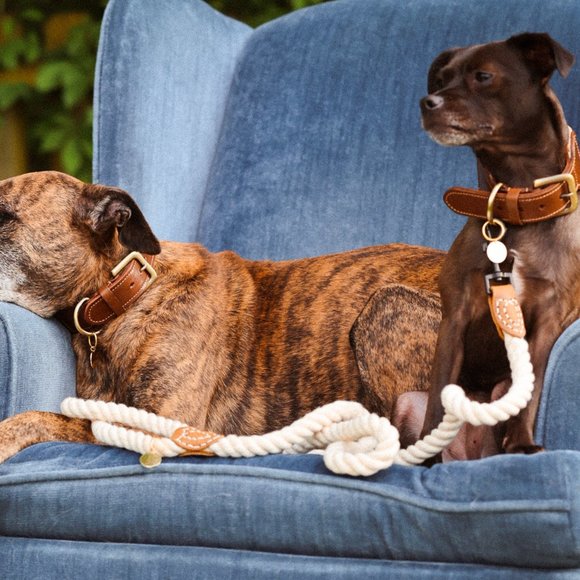 Ivory Rope Leash - Picture 4 of 5